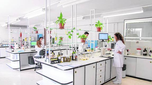 Instalaciones del laboratorio Indlab en Jerez de los Caballeros. Cedida.