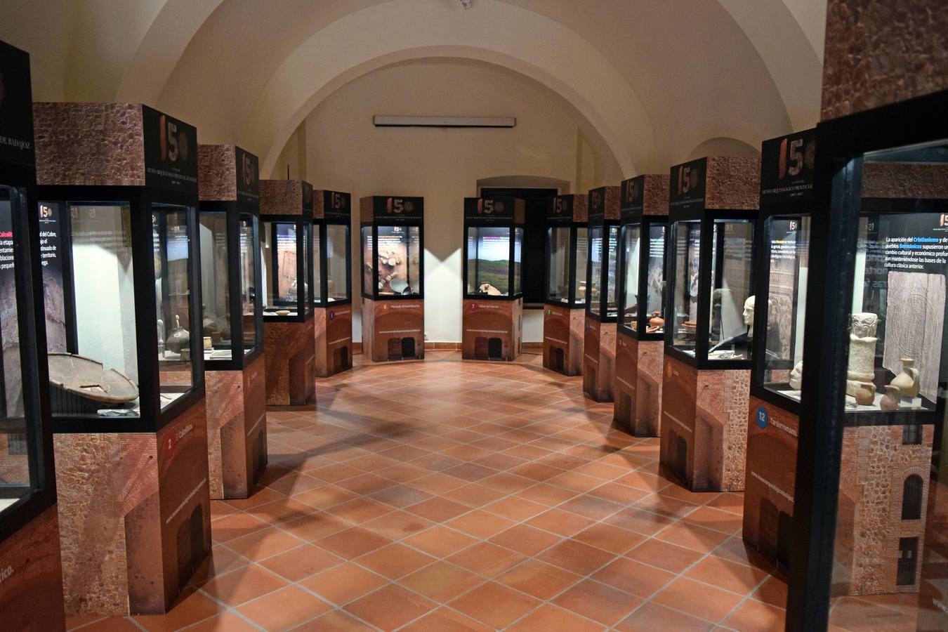 Vitrinas en las que se muestra el contenido de la exposición.