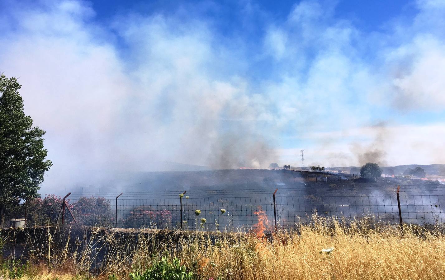 Imagen de un incendio en el entorno de Jerez de los Caballeros.