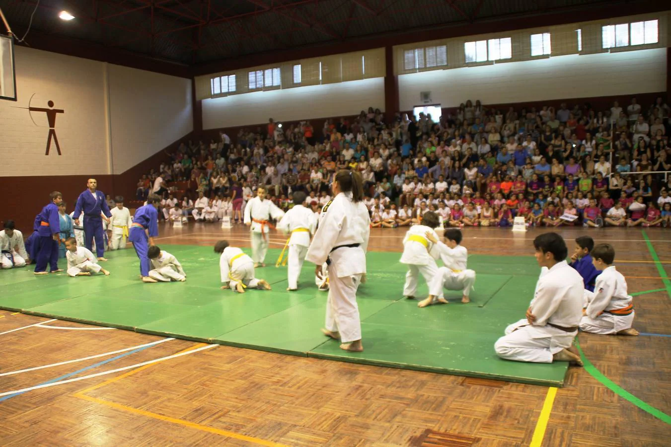 Se mantienen disciplinas consolidadas como Judo o Karate.P. D.