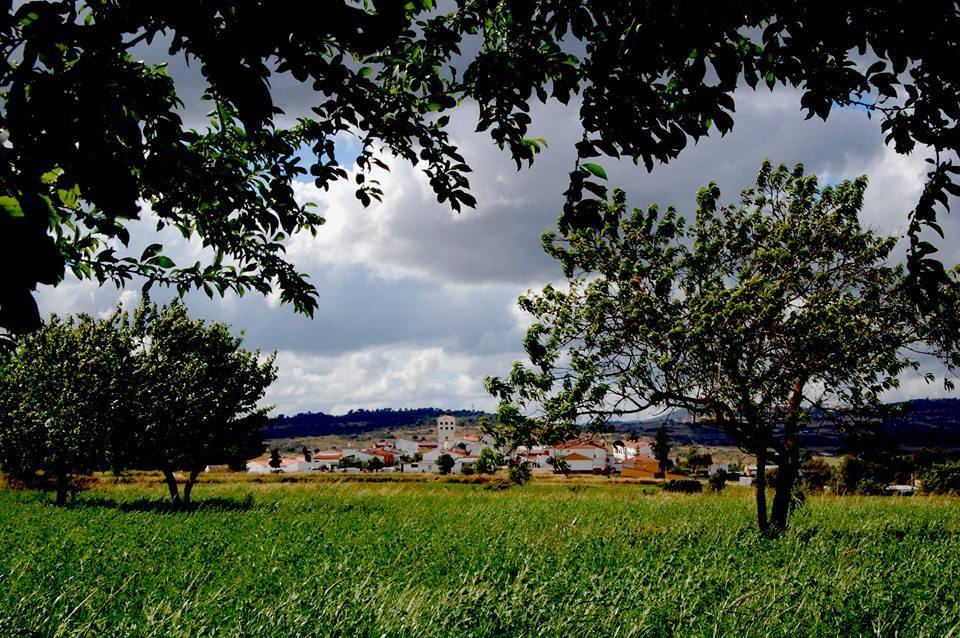 La Bazana.