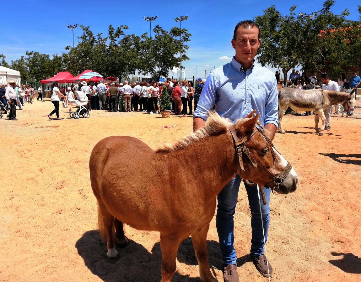 Fotos: Feria de Mayo