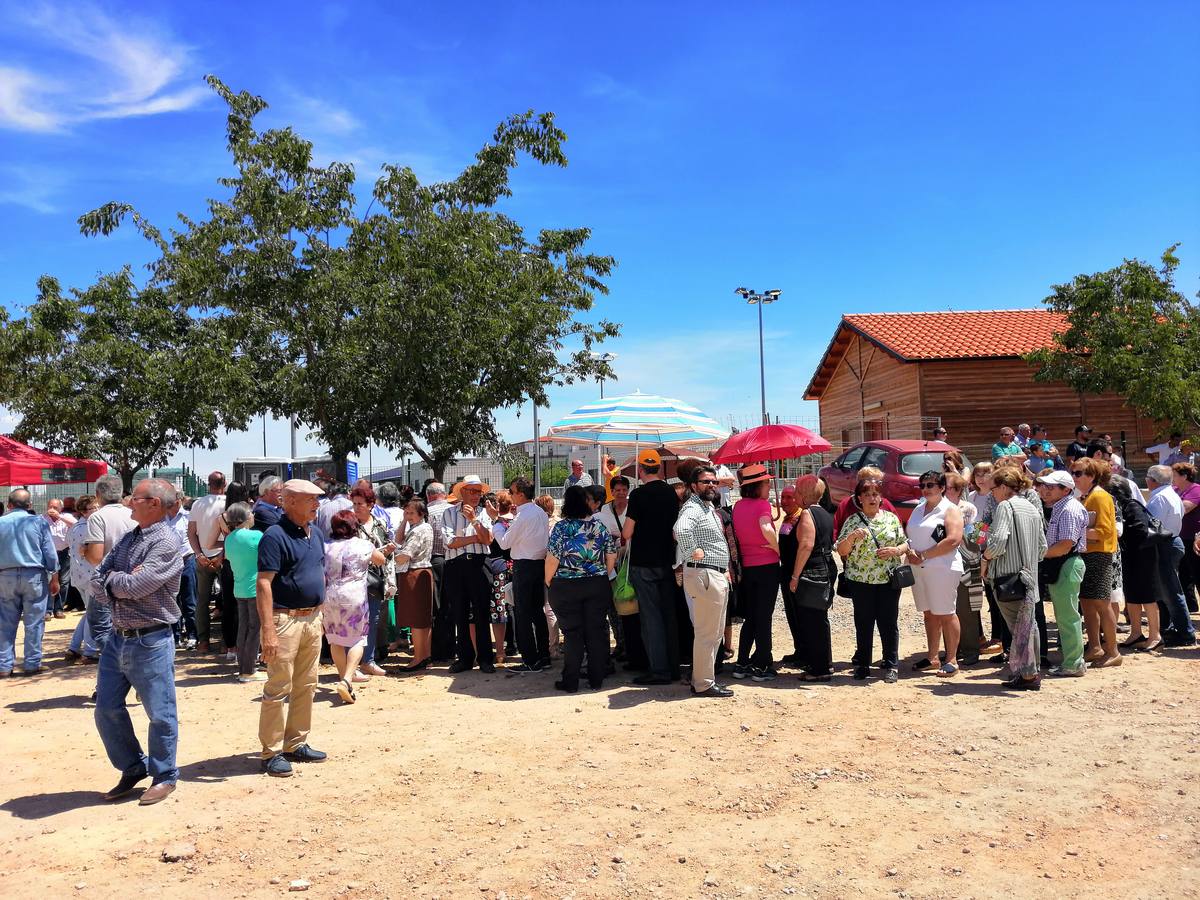 Fotos: Feria de Mayo