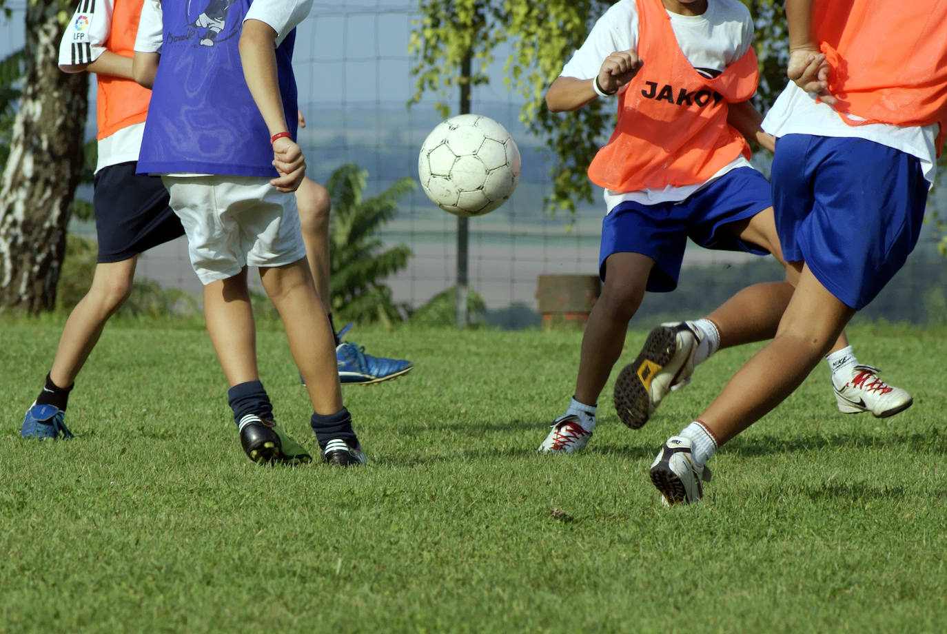 El Zarceño Juvenil jugará por primera vez como federado