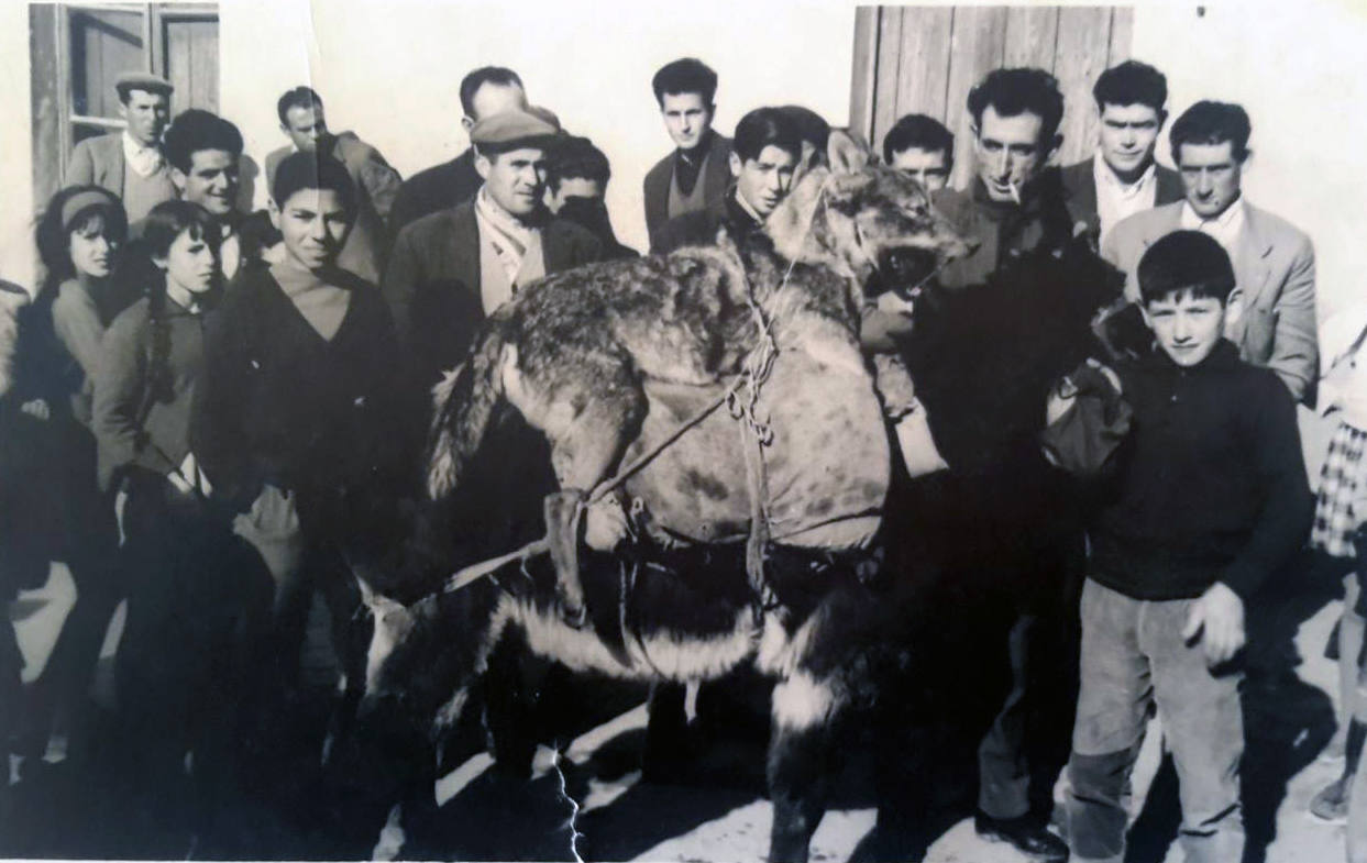 Paseo de la loba por La Zarza, 6 de enero de 1965