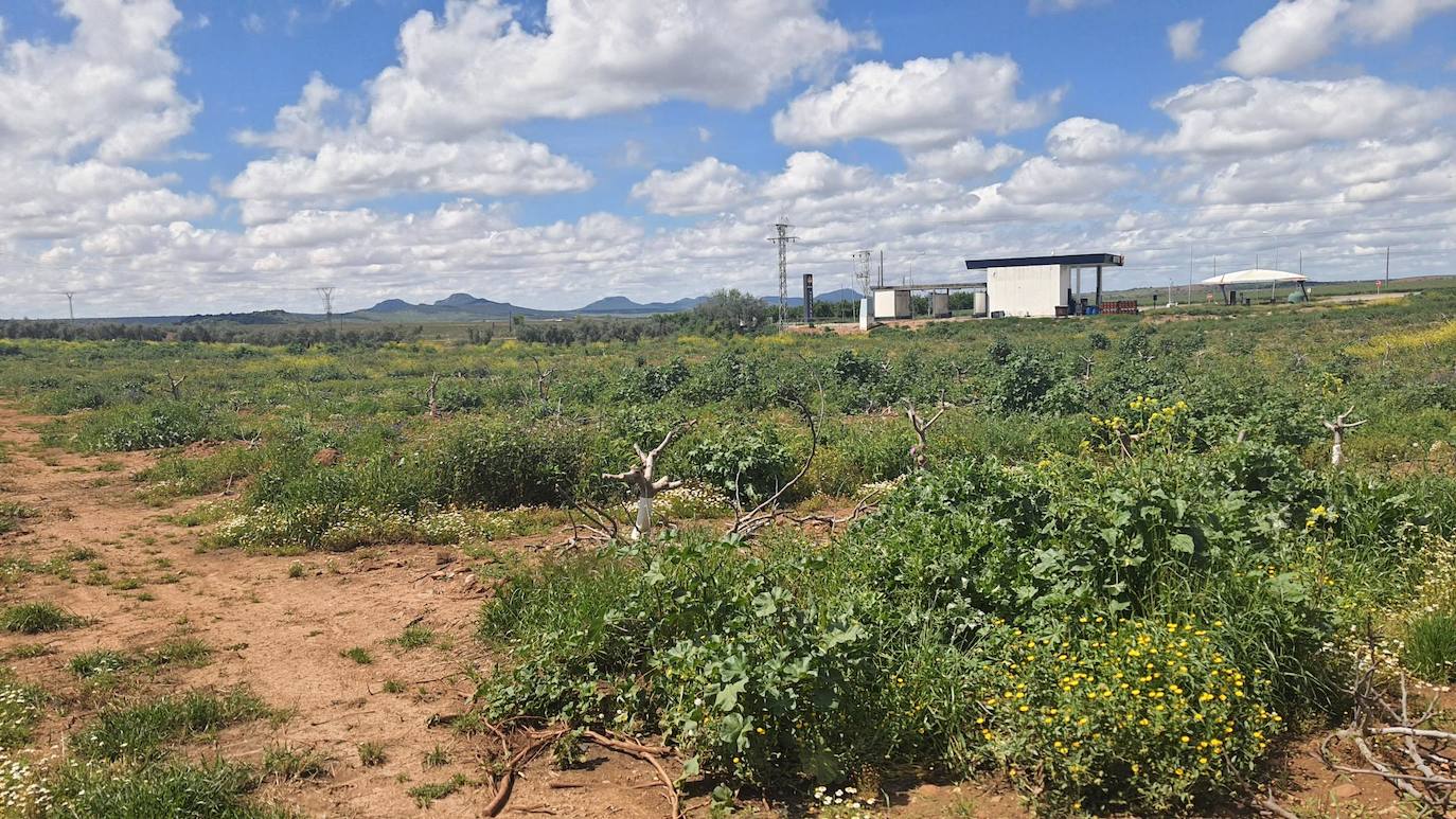 Terrenos donde se ubicará el nuevo polígono industrial