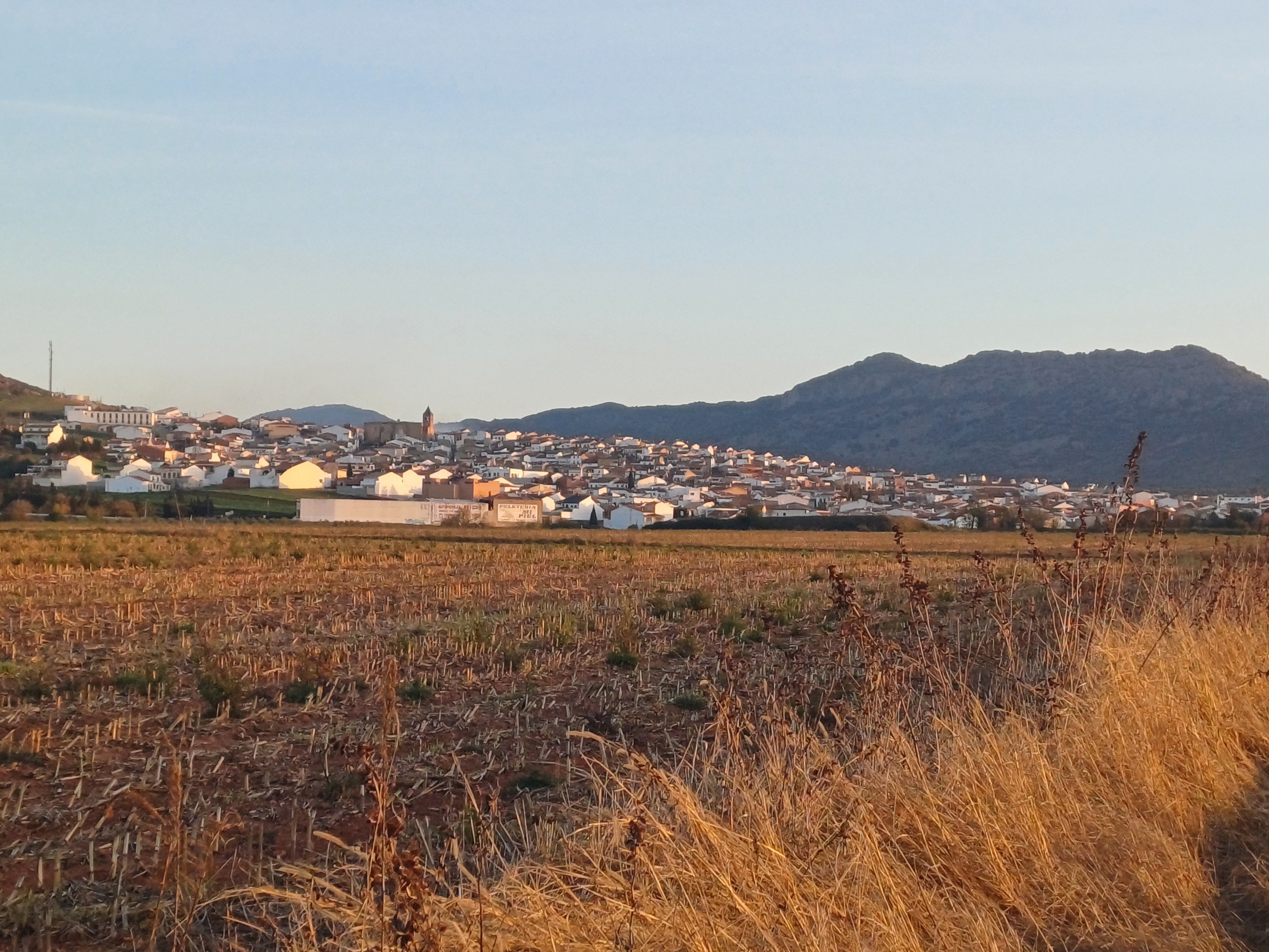 La Zarza pierde 24 habitantes respecto al último padrón municipal