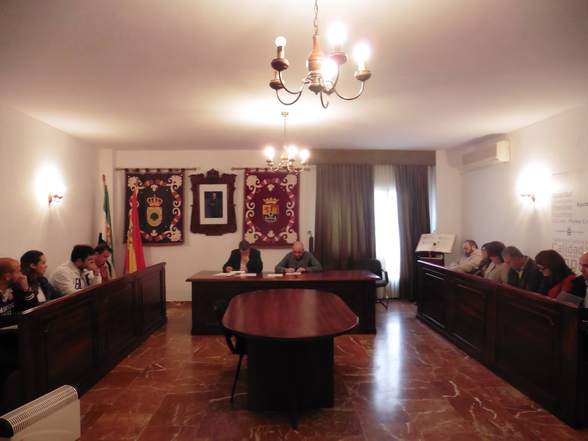 Imagen del Pleno celebrado el sábado