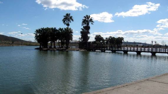 Charca Las Islas, Santa Amalia