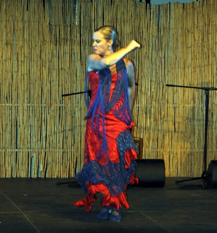 Manuela Sánchez, en una de sus actuaciones