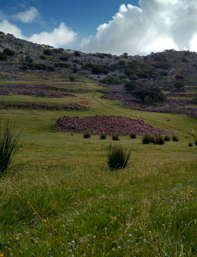 Vistas de la sierra desde el valle de La Jabata