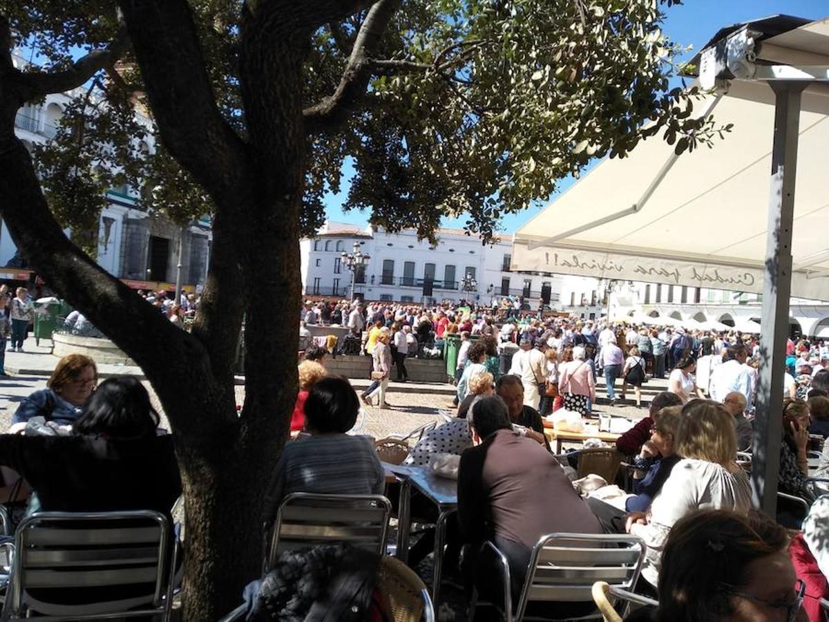 Las fotos de uno de los días más importantes de Llerena: Su Matanza Tradicional Extremeña