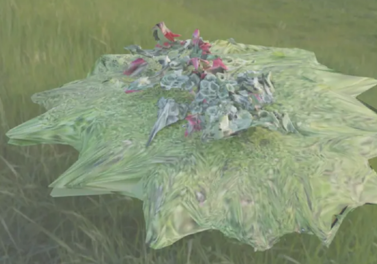 'The Blooming', de Lola Zoido.