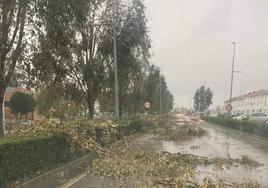 Llerena superó este jueves los 100 km/h de viento
