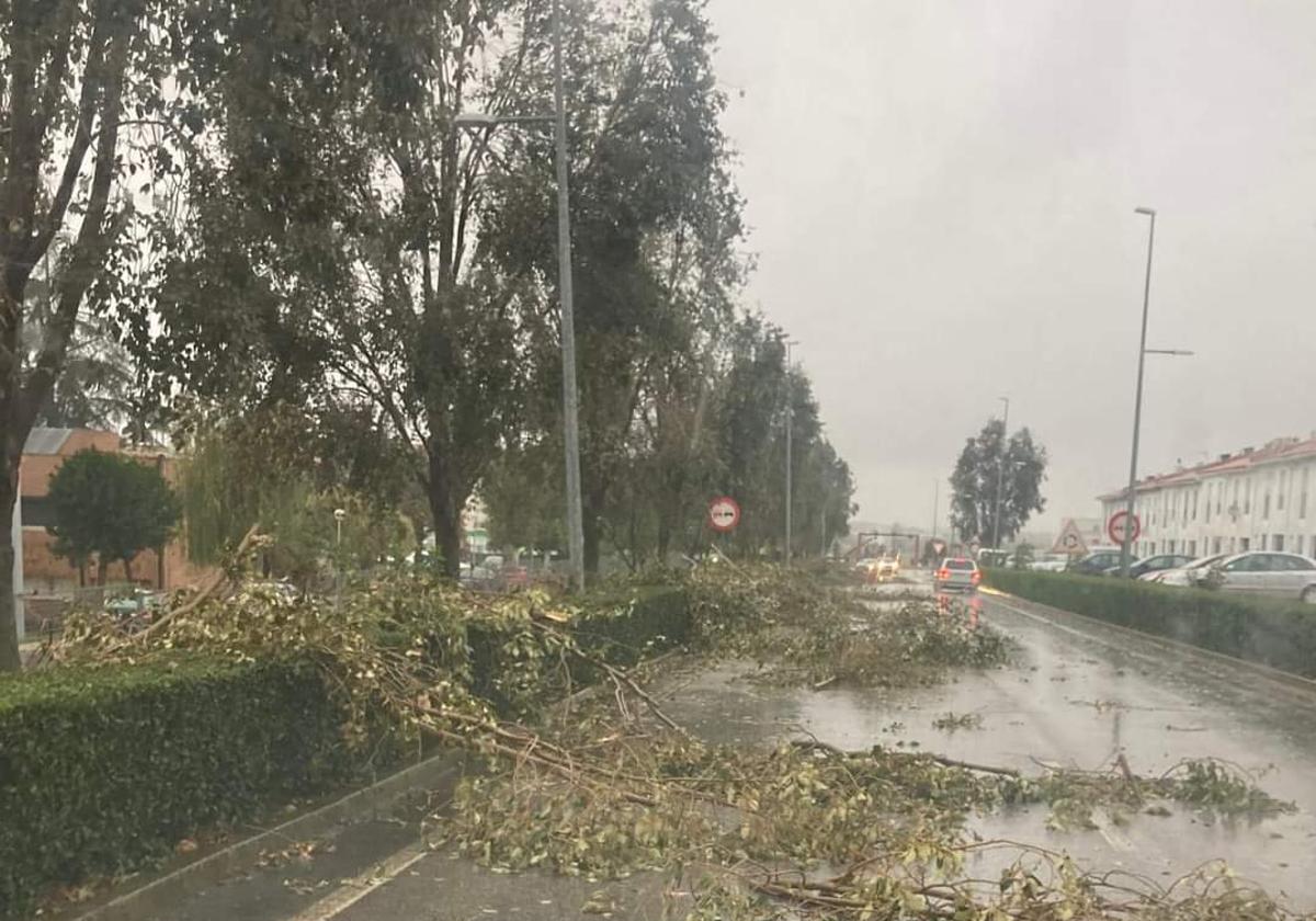 Llerena superó este jueves los 100 km/h de viento
