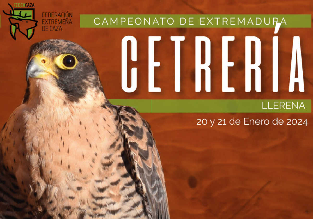 Llerena acoge el Campeonato de Extremadura de Cetrería