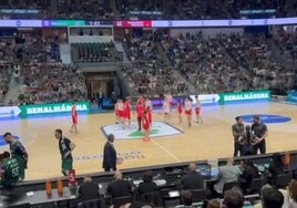 La base del Campiña Sur asiste a un partido de la ACB