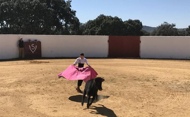 Capea a cargo de los alumnos de la Escuela Taurina de Badajoz 