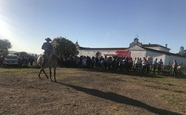 Exhibición de doma de caballo 