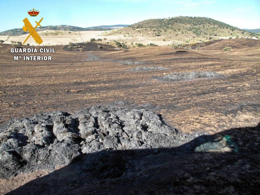 Incendio en el termino municipa,de Zafra 