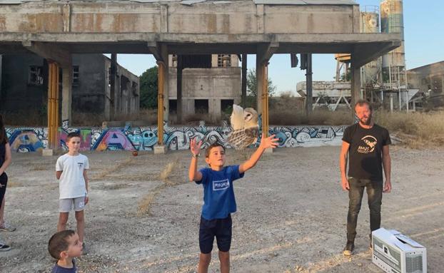 Los más pequeños pudieron liberar a las aves 