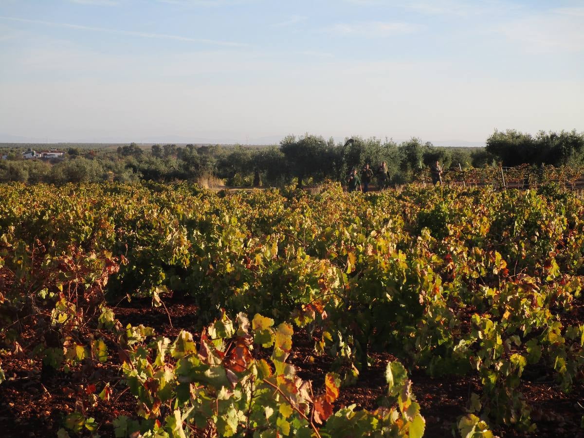 Zona de caza en el coto social 
