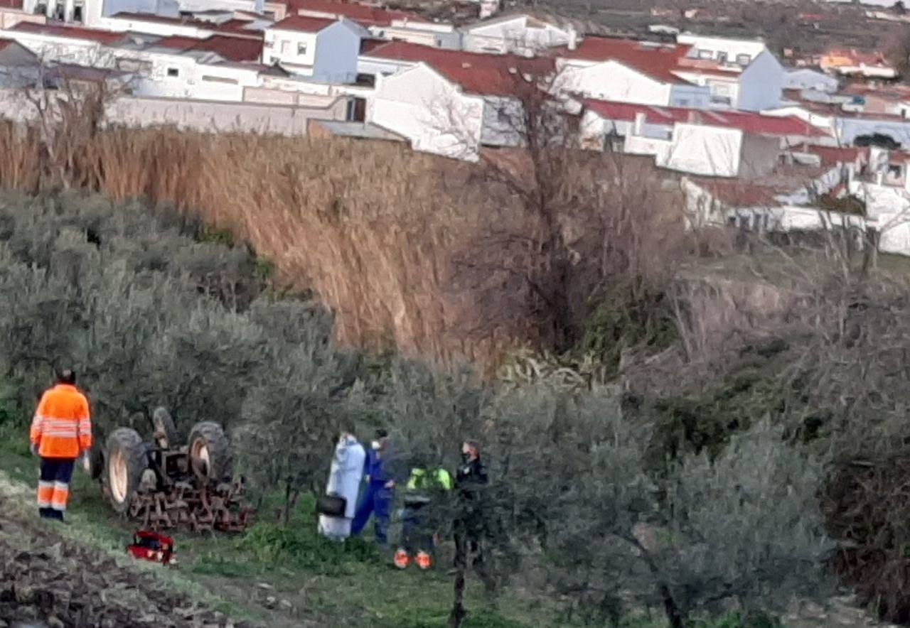 El tractor llevaba enganchada una grada para la labor 