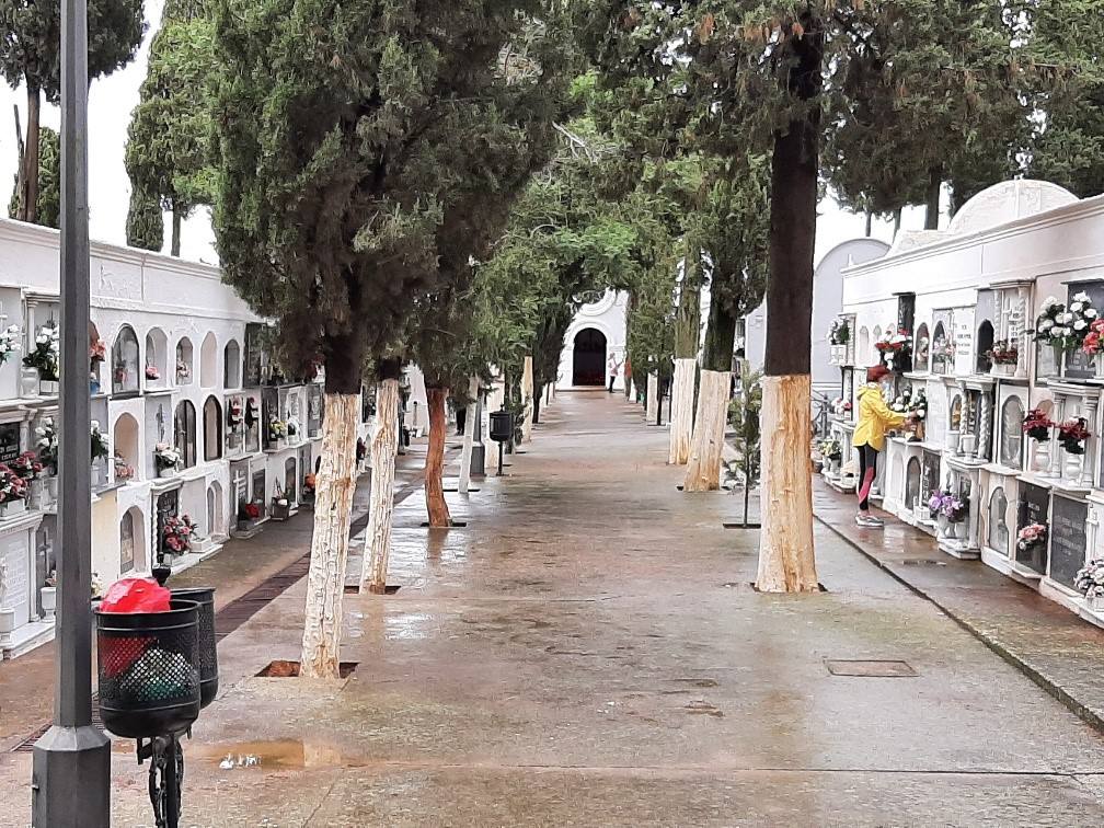 El cementerio esta mañana de domingo 