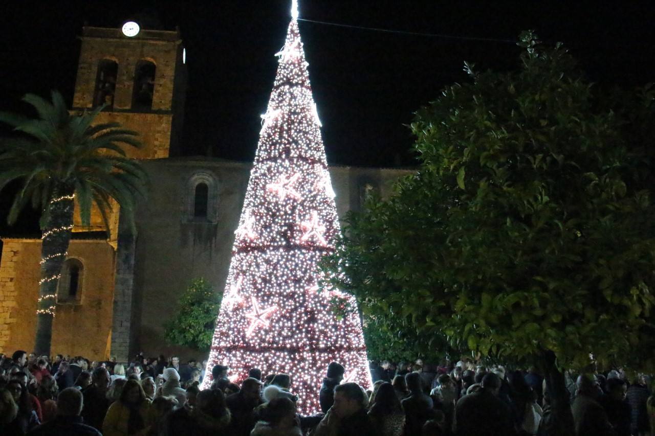 El árbol ya esty´a colocado 