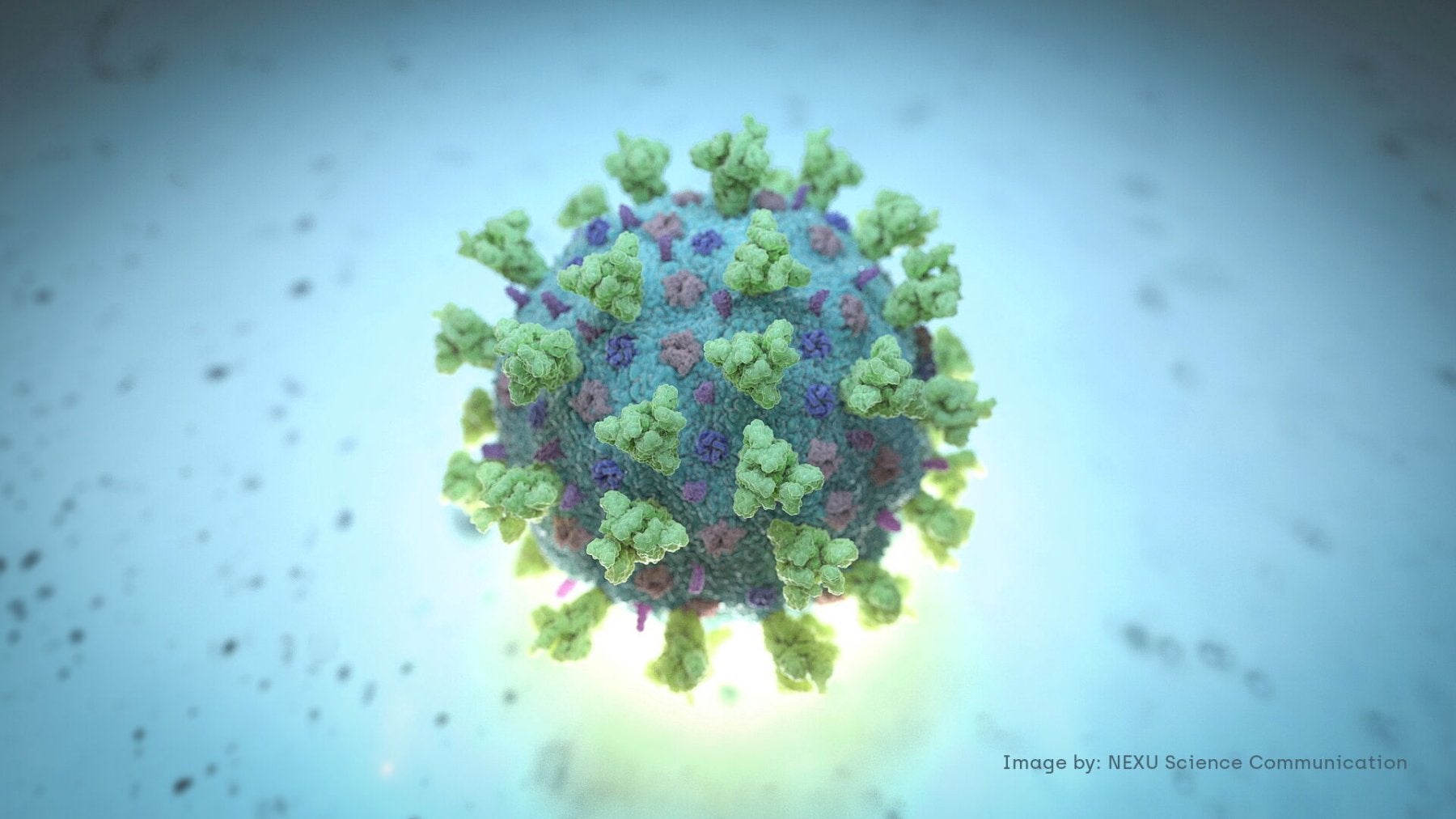 El virus que no nos abandona 