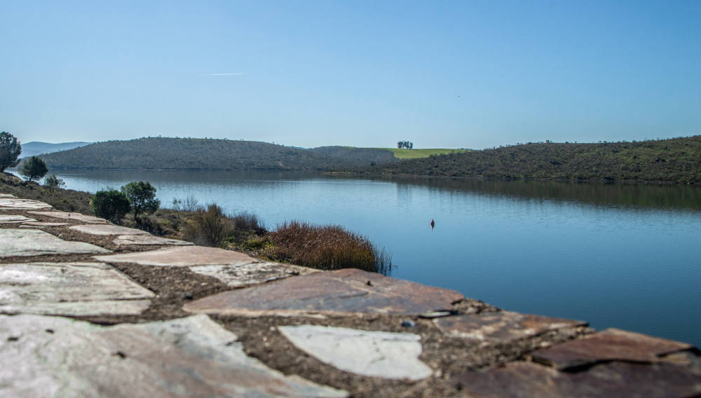 Pantano de los Molinos 