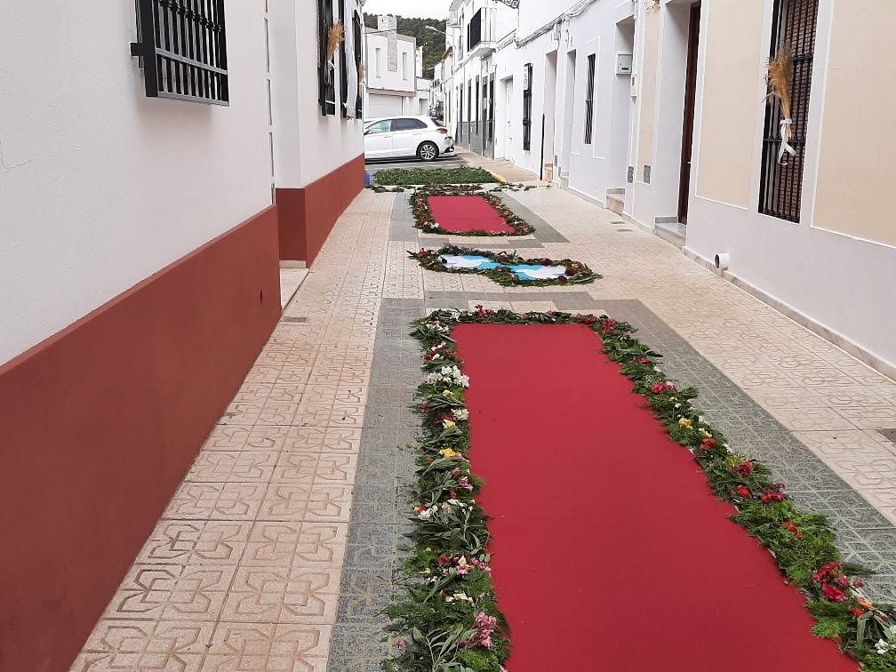Calle alfombrada 
