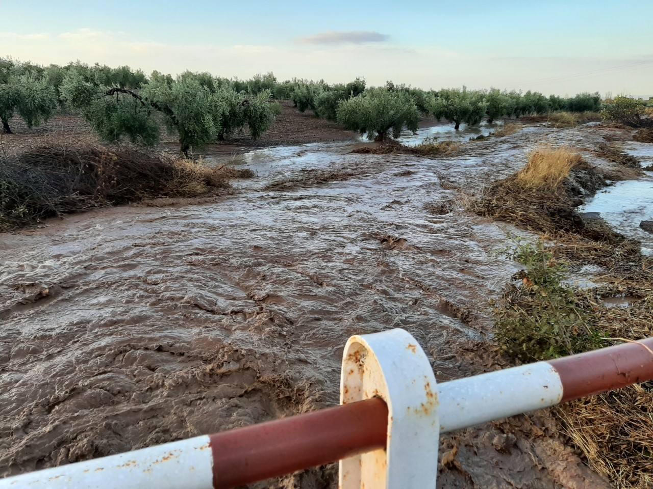 Un arroyo desbordado en el término de Los Santos 