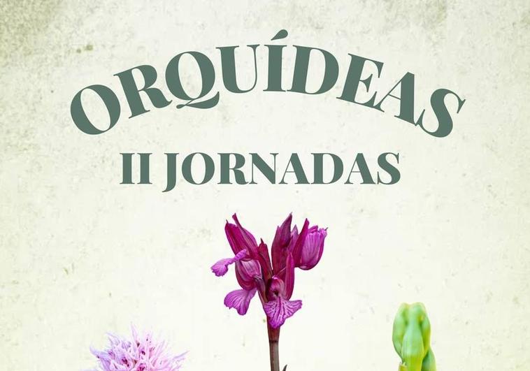 El próximo domingo se desarrollará el concurso de fotografías de las II Jornadas de las Orquídeas