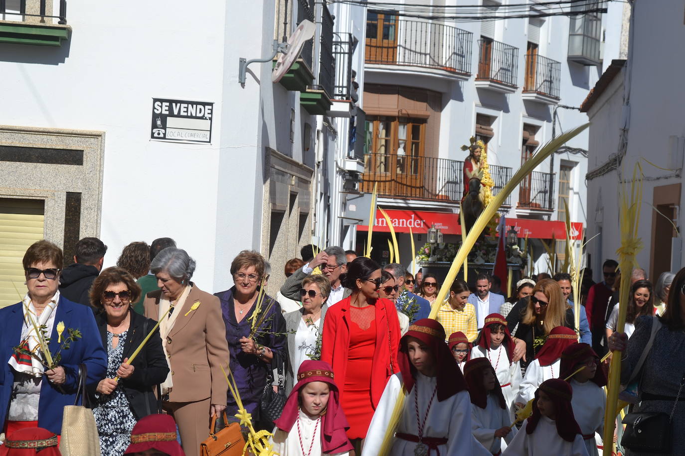 Domingo de palmas y de raamos