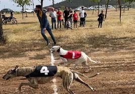 Dos perros llegando a meta