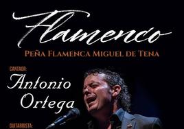 Cartel del espectáculo flamenco