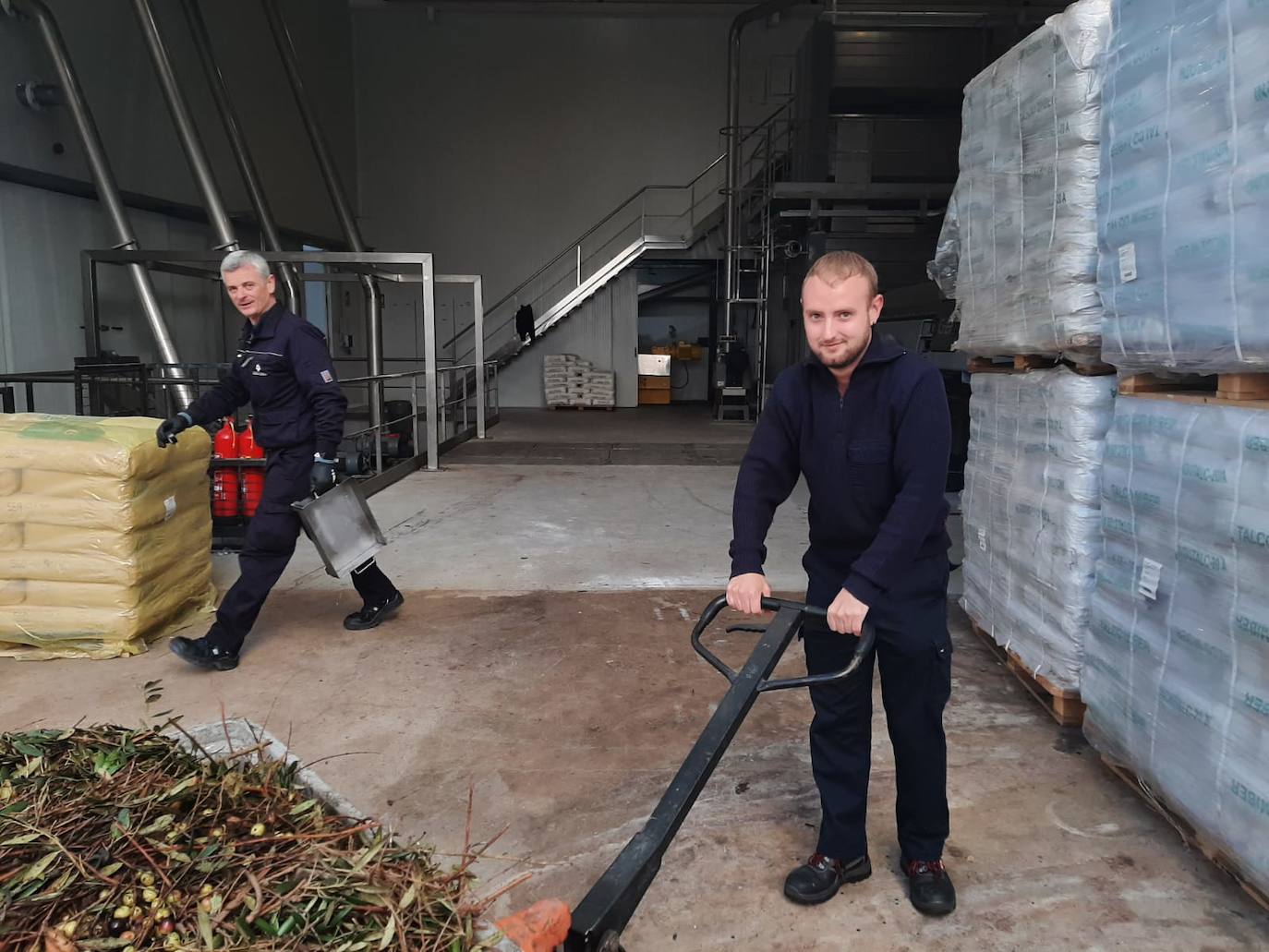 José Tomás en su trabajo en la almazara