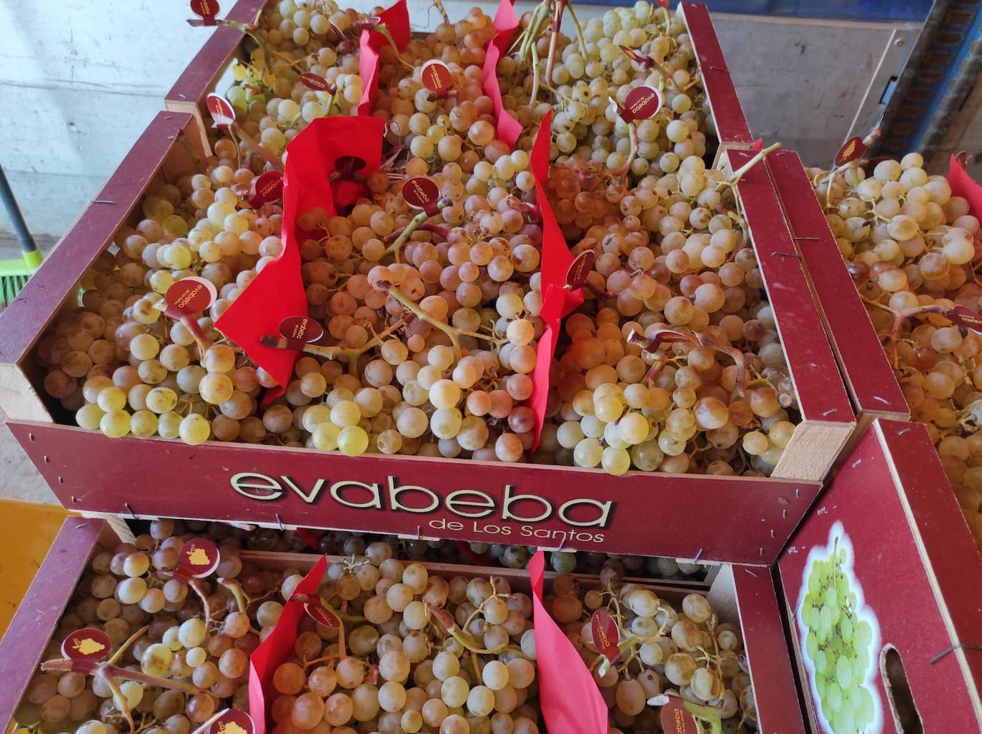 Cajas perfectamente etiIquetadas