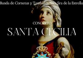 Cartel del concierto