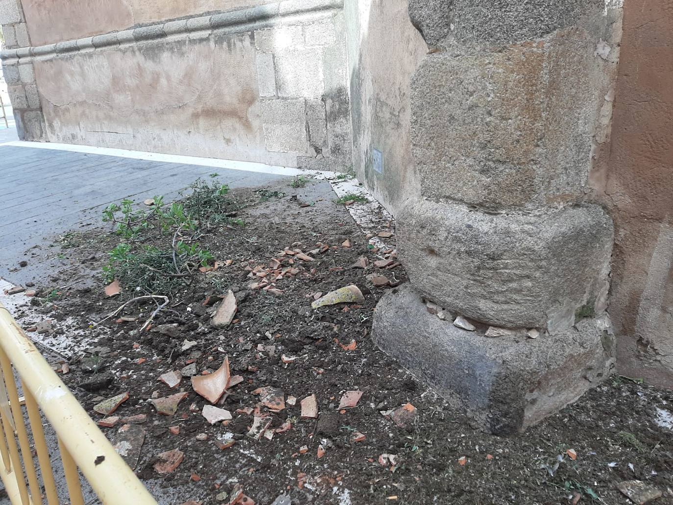 Trozos de una higuera y otras plantas junto a tejas rotas por las palomas