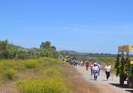 Romerios en el camino