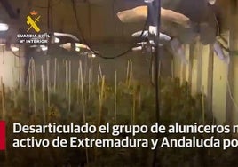 Desarticulada una banda de ladrones que el pasado mes intentó robar en Los Santos