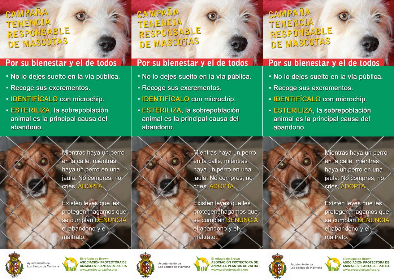 Campaña de concienciación ciudadana sobre tenencia de animales