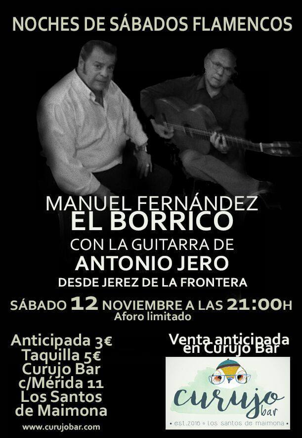 Cartel anunciador del concierto