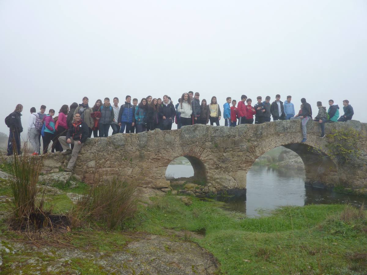 Alumnos sobre el puente. CENTRO DE INTERPRETACIÓN