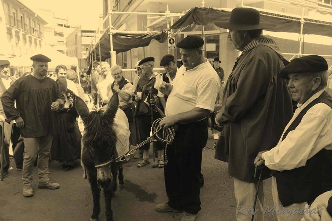 La localidad de Miajadas celebró el pasado fin de semana una bonita jornada en la que el centro del pueblo rememoró cómo eran las ferias de agosto en 1854. Decenas de vecinos, ataviados con la ropa de la época, disfrutaron de un evento singular y que estuvo orgnizado por la Sociedad Histórica Villa de Miajadas. 
