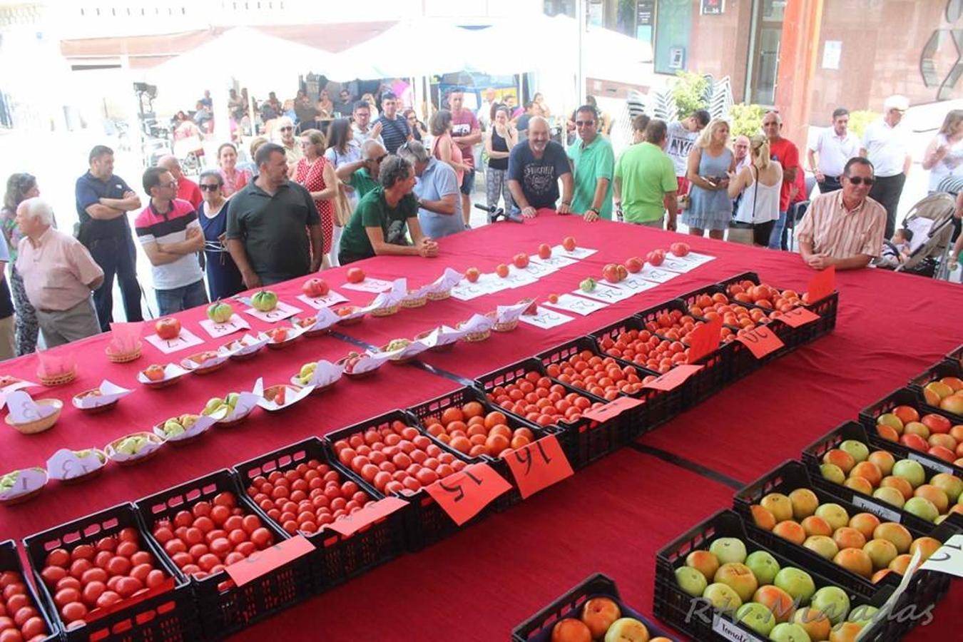 Folklore, gastronomía, música y claro está, mucho tomate. El fin de semana del 19 al 21 de julio la localidad miajadeña volvió a volcarse un año más con el alimento que caracteriza a Miajadas: el tomate. Tres días cargados de festividad en una tercera edición que mejora el nivel de años anteriores, objetivo perseguido por parte del consistorio. 