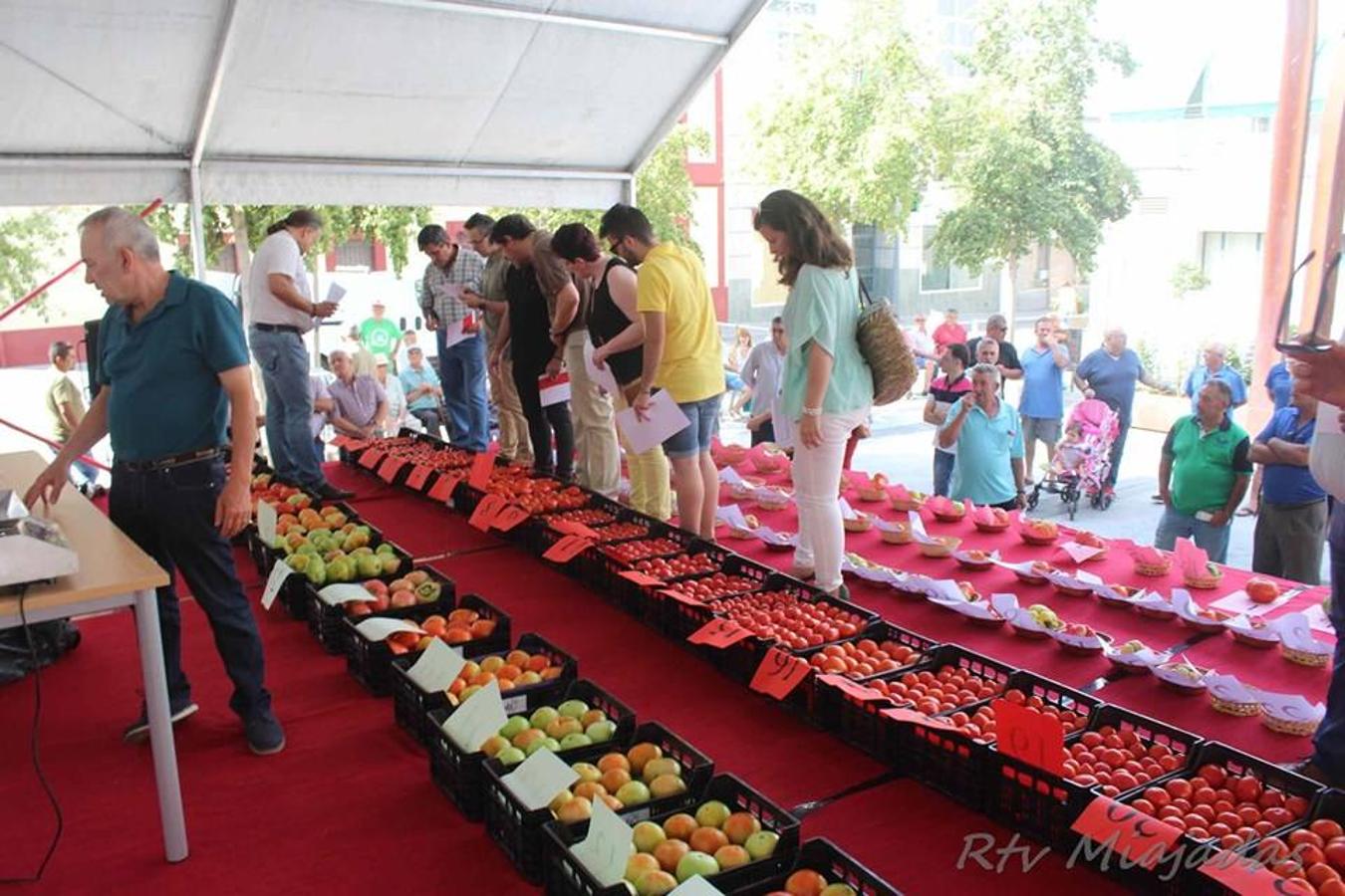 Folklore, gastronomía, música y claro está, mucho tomate. El fin de semana del 19 al 21 de julio la localidad miajadeña volvió a volcarse un año más con el alimento que caracteriza a Miajadas: el tomate. Tres días cargados de festividad en una tercera edición que mejora el nivel de años anteriores, objetivo perseguido por parte del consistorio. 