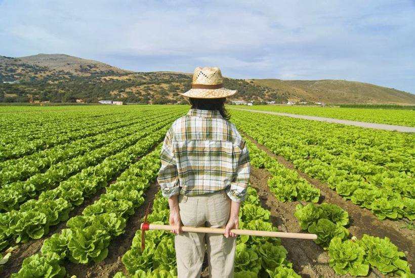 Mujer dedicada a la agricultura / 
